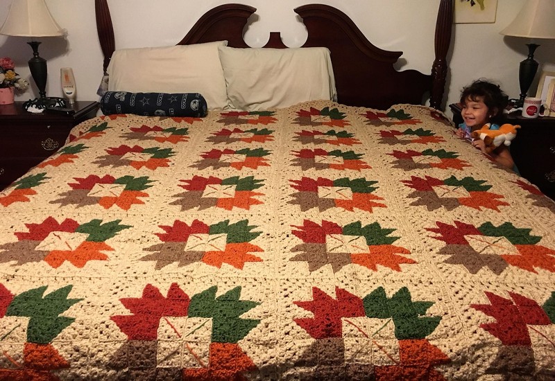 crochet blanket designs (17)